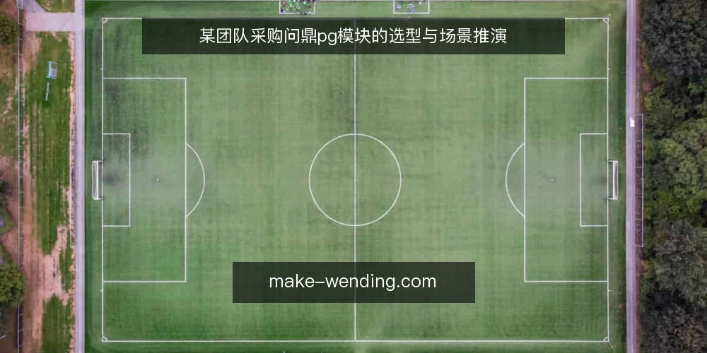 某团队采购问鼎pg模块的选型与场景推演 — 场景设定与需求界定 配图