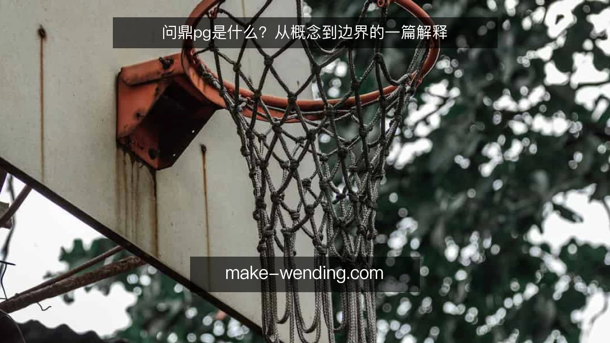 问鼎pg是什么？从概念到边界的一篇解释