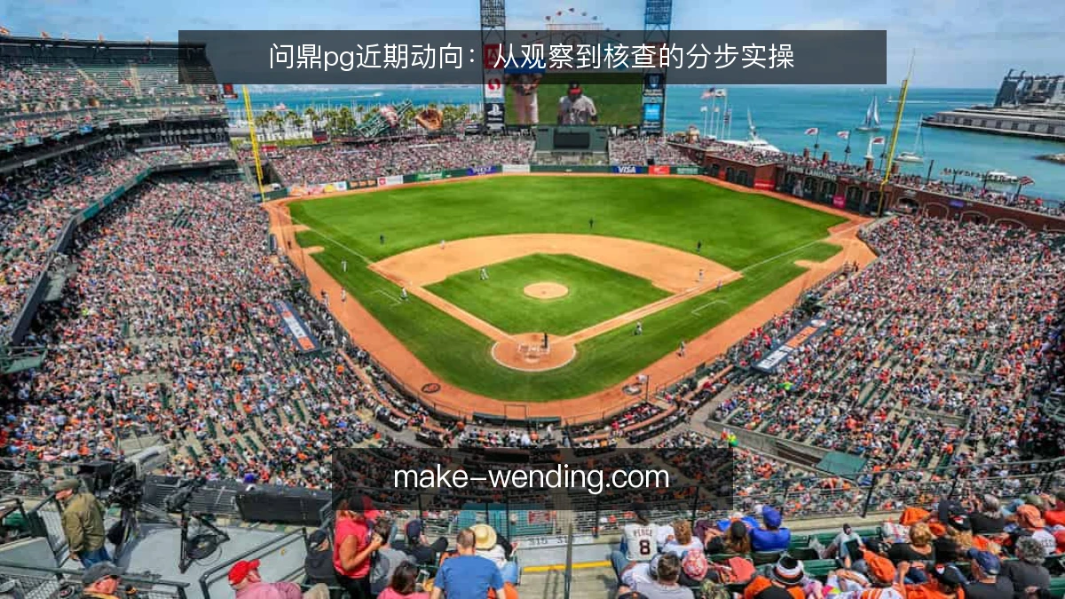 问鼎pg近期动向:从观察到核查的分步实操
