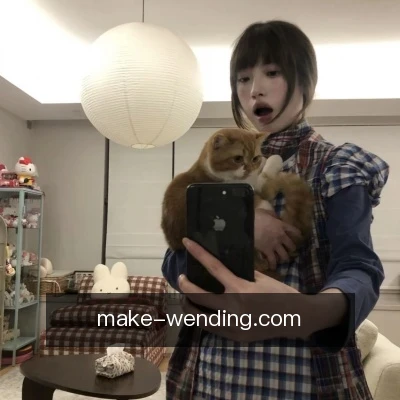 苏航